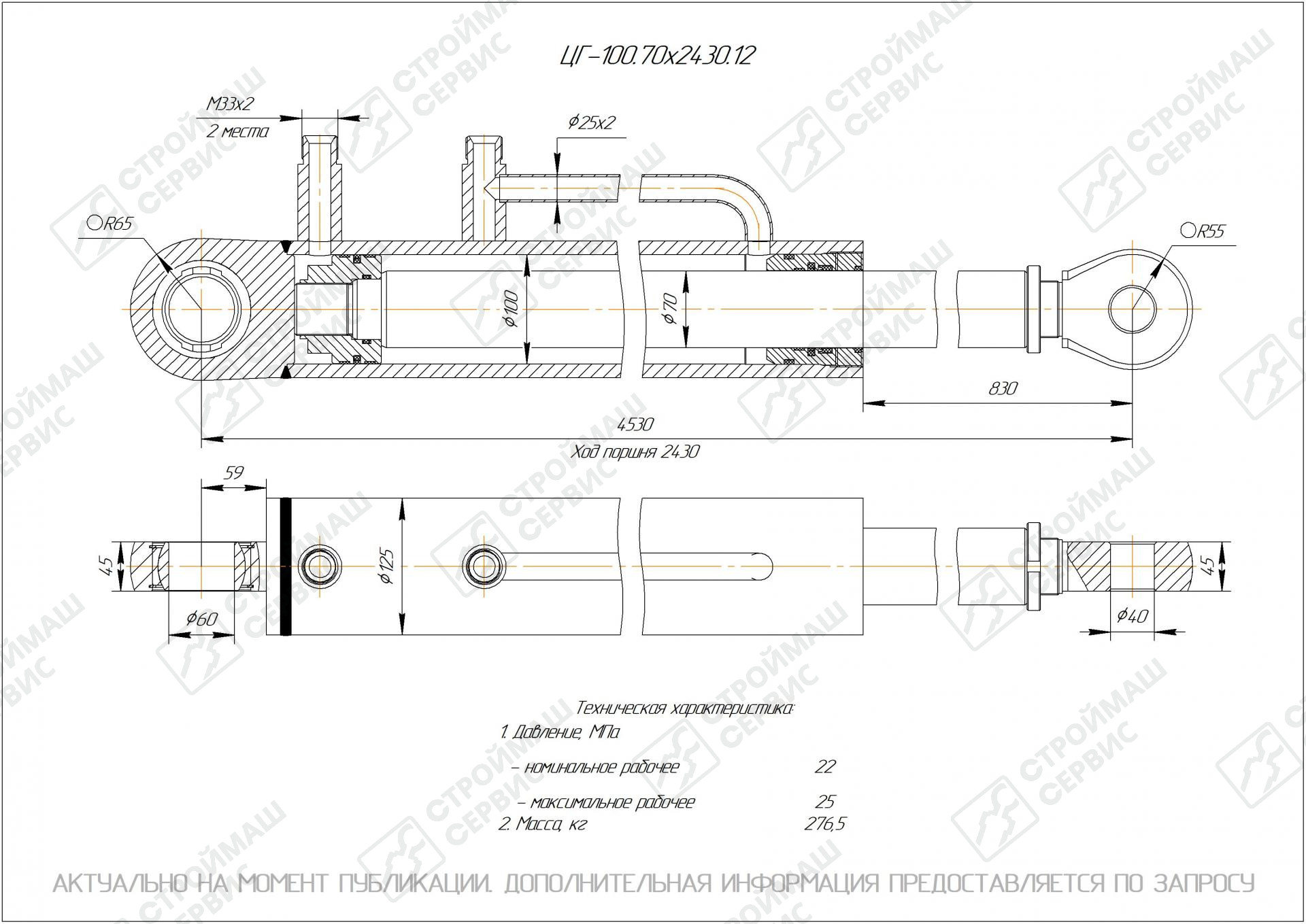ЦГ-100.70х2430.12 Гидроцилиндр по низкой цене - купить с доставкой по  Самаре.